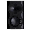 Perlisten Audio R4b_0